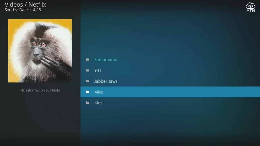 multiple neflix account profiles in kodi