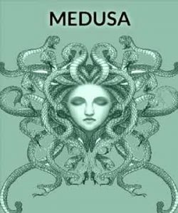 Step by Step Guide to Install Medusa on Kodi