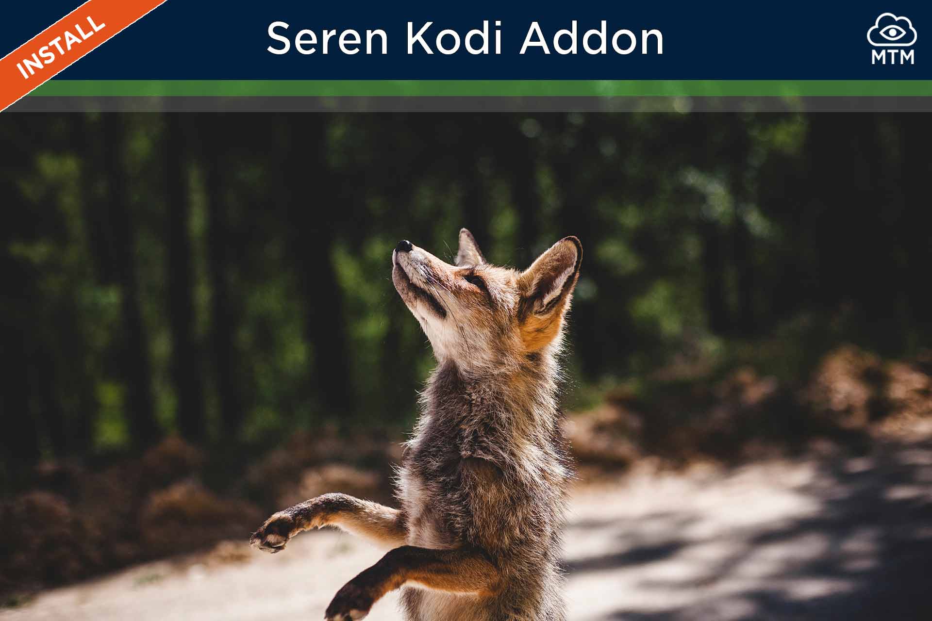 How to Install Seren Kodi Addon featured image