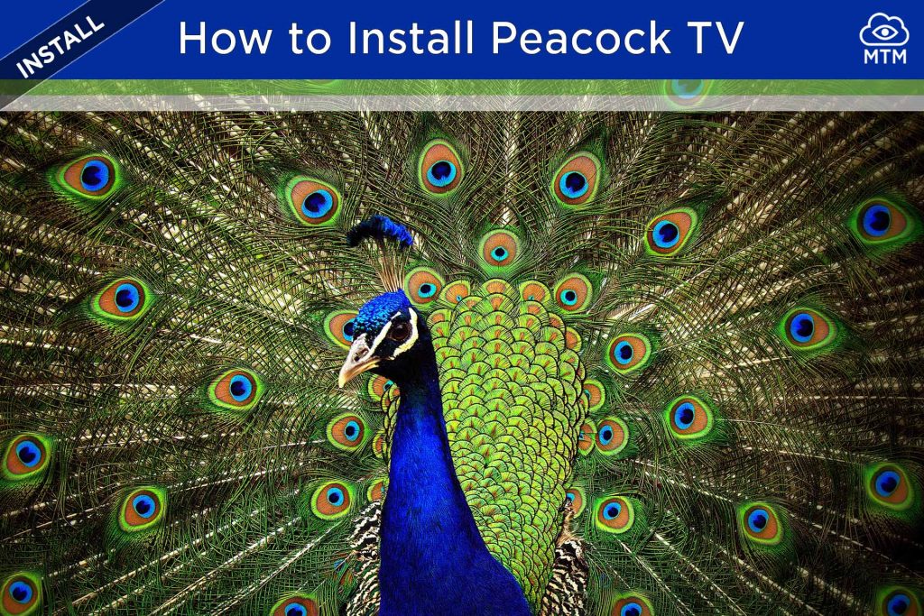 How to Install Peacock TV App