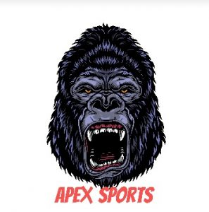 how to install apex kodi sports addon